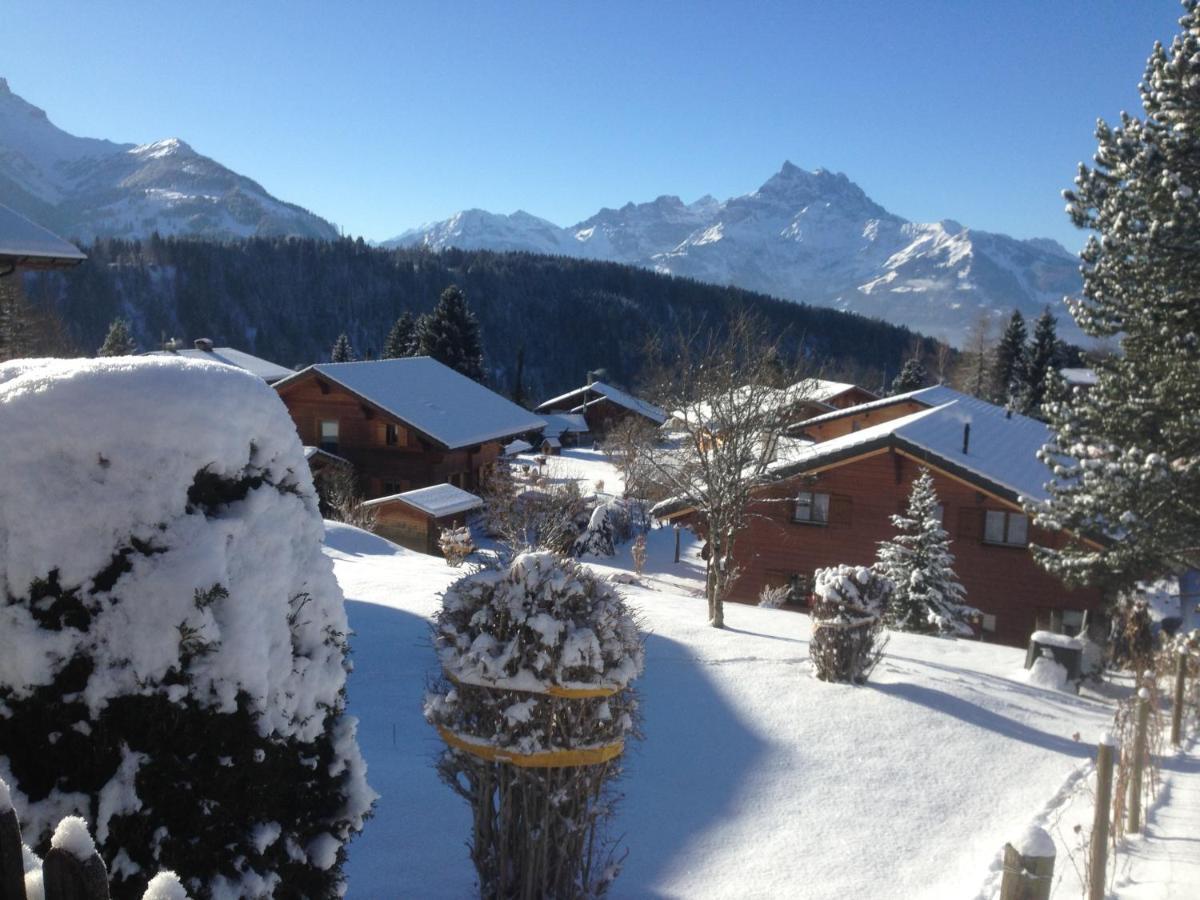 Chalet Le Slalom Arveyes エクステリア 写真